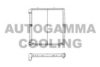 VW 076121253 Radiator, engine cooling